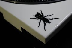 12573105_524729661045247_5291738147476066837_n